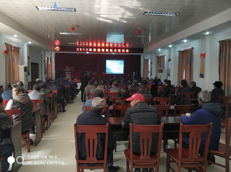 1554168661497156.jpg 1554168661497156.jpg