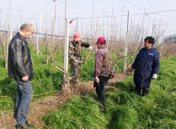 1584600376584787.jpg 1584600376584787.jpg