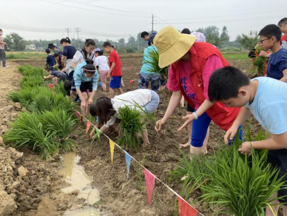 1623208654743588.jpg 圖片4.jpg