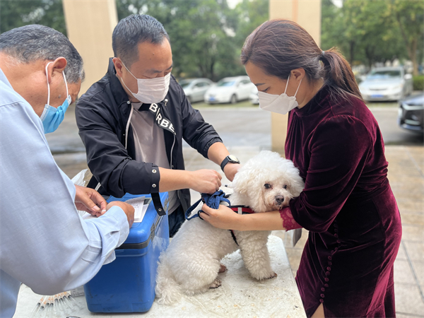 1669550613637206.jpg IMG_3176.JPG