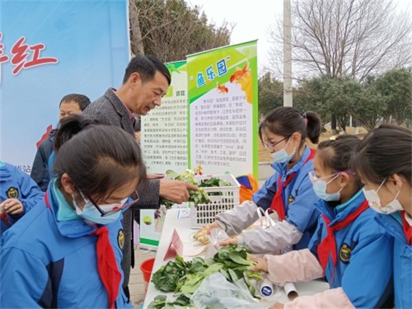 1649573228588384.jpg 種菜義賣做公益 紅領(lǐng)菜農(nóng)上線1.jpg