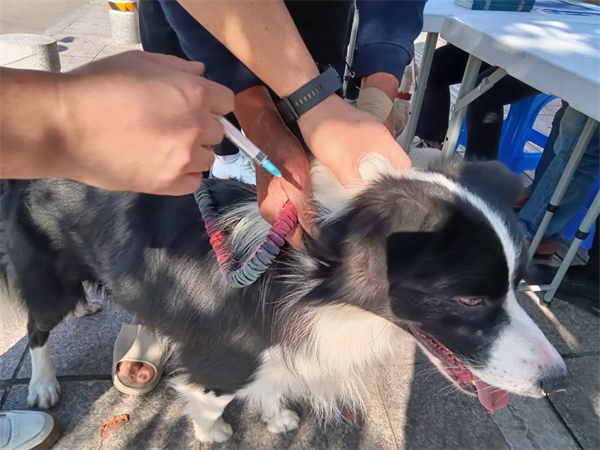 1669547200478131.jpg IMG20221108135054_02.jpg