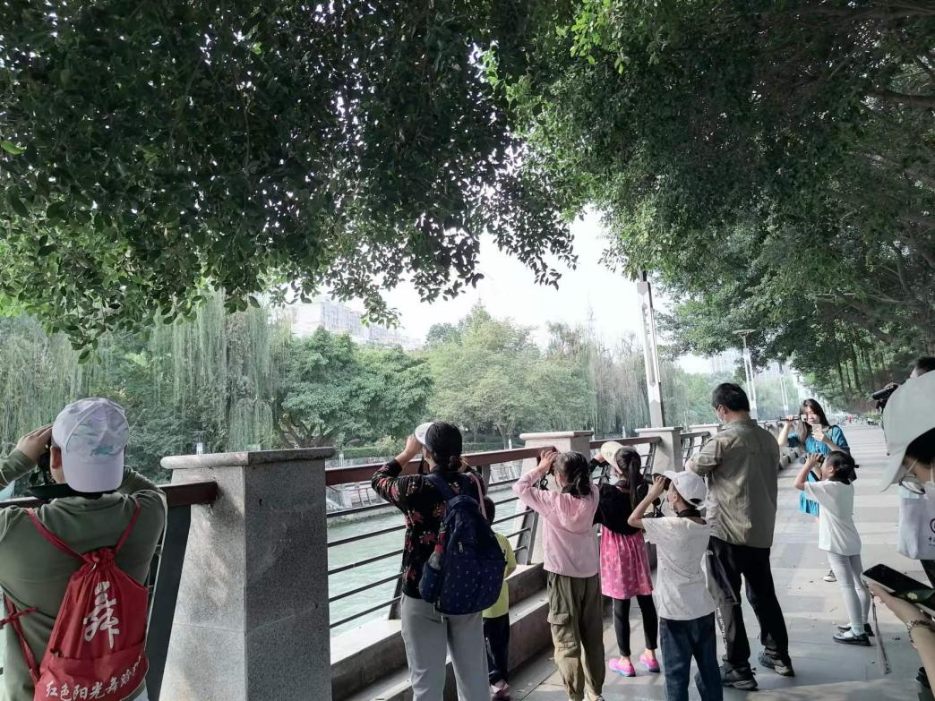 1677137424164116.png 1677137424164116.png