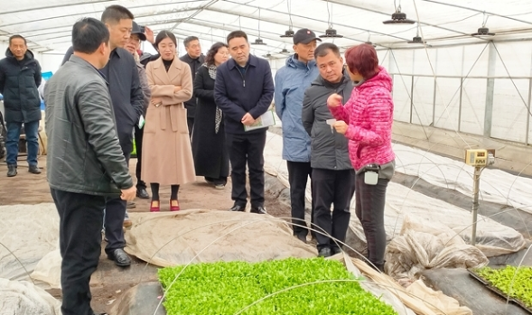 1679131733366862.png 1679131733366862.png