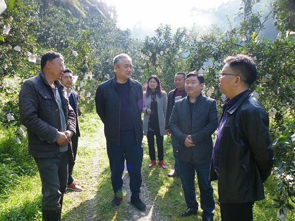 1520995041883534.jpg 3(7).jpg