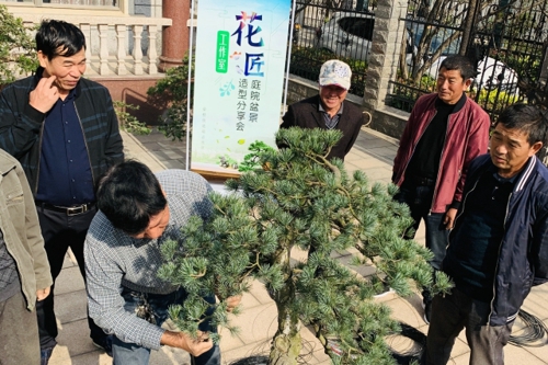 1573194110359206.jpg 美在身邊 學(xué)在庭院——盆景造型分享會(huì).jpg