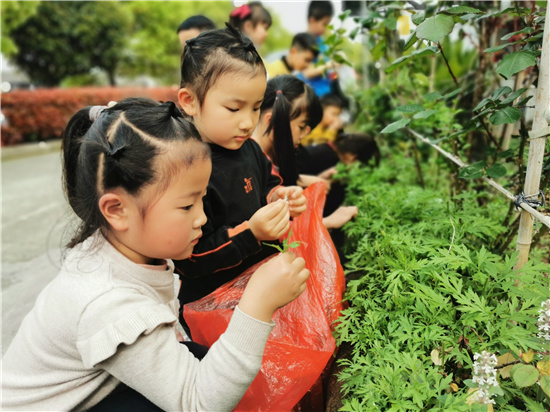 1617769029911823.jpg b333bac46b15a167a485a1f72b66f8c.jpg