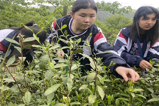 農(nóng)事體驗讓田間更有“看頭” (2).jpg