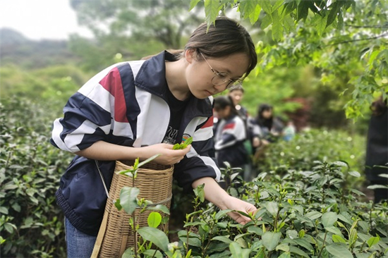 農(nóng)事體驗讓田間更有“看頭” (3).jpg