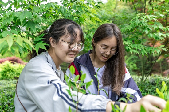民族青年變身“采茶工” 谷雨助農(nóng)掀起“幫扶熱” (5).jpg
