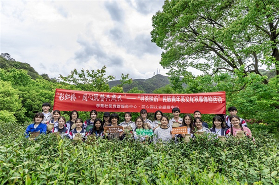 民族青年變身“采茶工” 谷雨助農(nóng)掀起“幫扶熱” (6).jpg