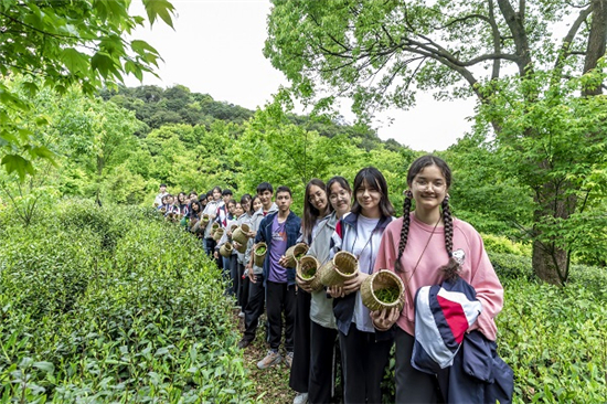 民族青年變身“采茶工” 谷雨助農(nóng)掀起“幫扶熱” (7).jpg