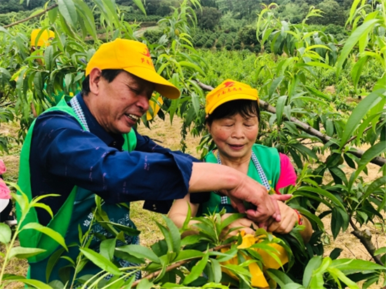 林間田地黨旗紅 助農(nóng)解憂踐初心.jpg