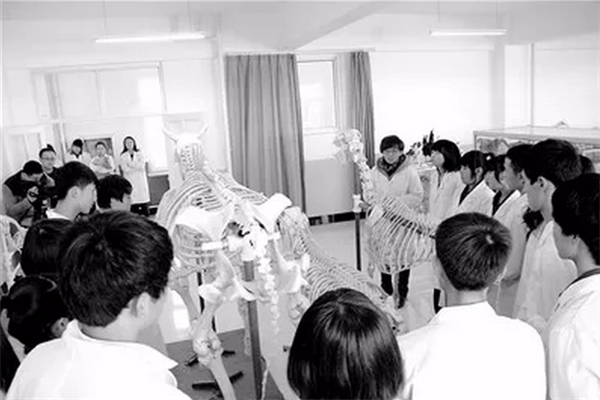 1516150813303961.png 2.png