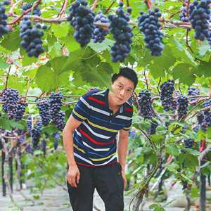 1595922115937372.jpg 1.jpg