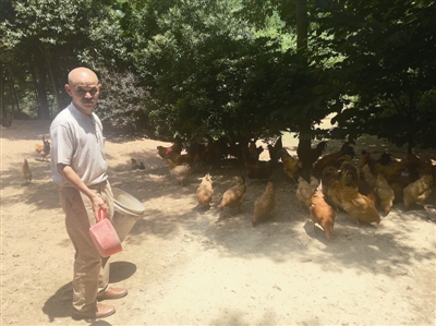 養(yǎng)雞.jpg