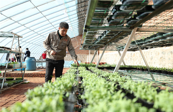 1551677579256661.jpg 1.jpg