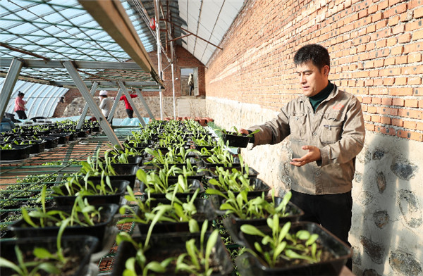 1551677598246159.jpg 3.jpg