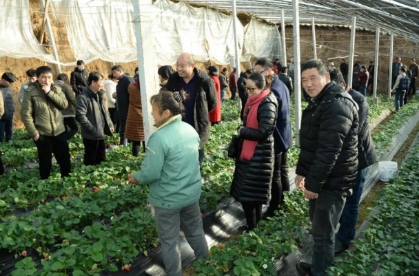 1596591979735168.jpg 1596591979735168.jpg