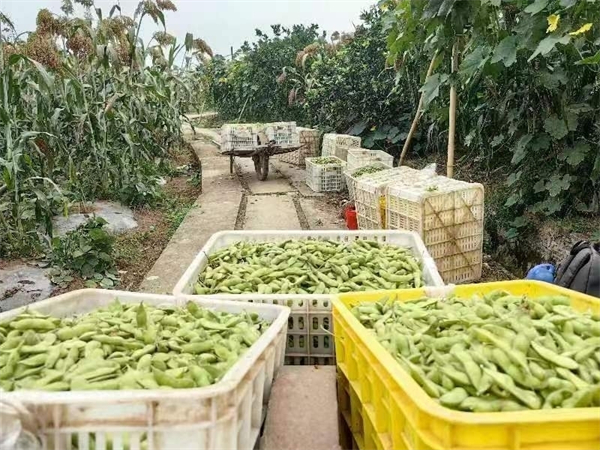 1690532886737601.jpg NEWS_04DACAD57CF98F12C74694AD744BD721.JPG