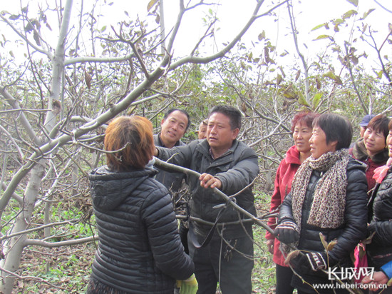 1540774985263904.jpg 2.jpg