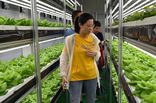 1564736542658534.png 1-1ZP2093HJR.png