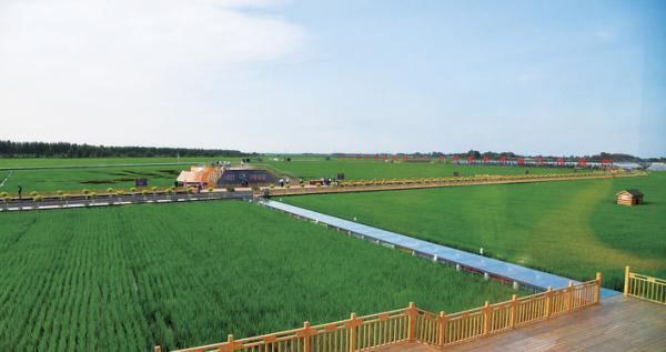 1595208017219718.jpg 1595208017219718.jpg