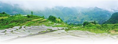 1622429367683073.jpg W020210531129358900278.jpg