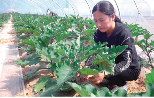 1690505302189047.jpg 1690505302189047.jpg