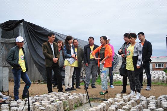 參觀愛輝區(qū)職業(yè)技術學校一手扶持起來的食用菌生產實驗示范基地&mdash;&mdash;四嘉子鄉(xiāng)農業(yè)科技示范園區(qū).jpg